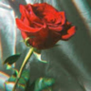 Meet your Posher, Gabrielle